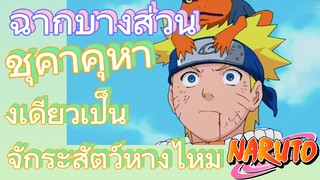 [นารูโตะ] ฉากบางส่วน |  ชุคาคุหางเดียวเป็นจักระสัตว์หางไหม