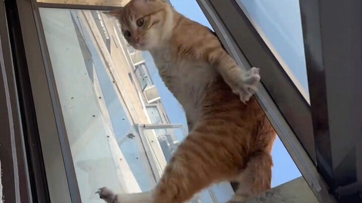 It doesn't matter, I'll make a fool of myself.