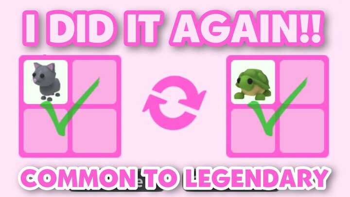 HOW I TRADE FROM COMMON TO LEGENDARY? | NOV 2022 😲💗