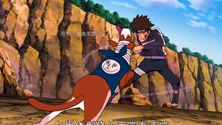 《卡卡西的八忍犬都叫什么名字？是什么品种呢？一只让小樱抓狂！一只可能偷看了亲热天堂！》