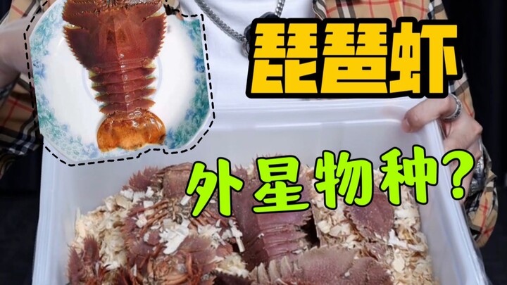 Membongkar Penipuan Udang Biwa