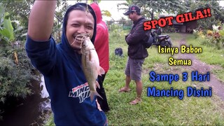 SPOT GILA..!! Sampai 3 Hari Kita Mancing Disini!!