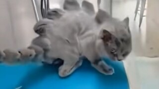 Nếu mà nổi giận lên thì tôi còn không dám nghĩ sẽ ngầu đến mức nào nữa