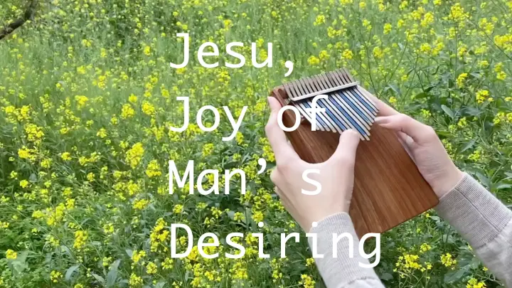 [Music] Bach's "Jesu, Joy of Man's Desiring Strings", Kalingba version