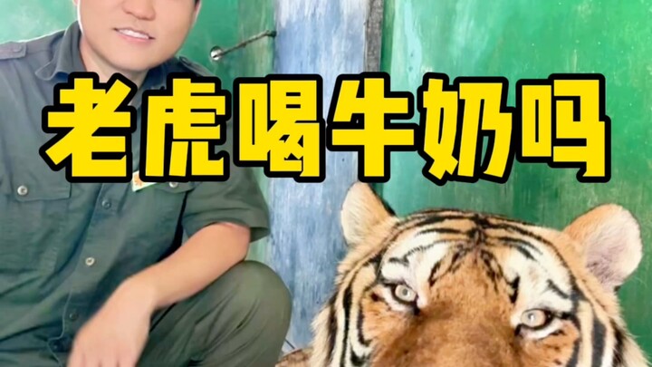 这奶就这么好喝吗？