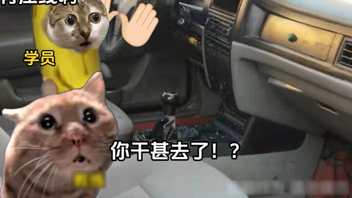 Coach: I almost saw it too milky #CatmemeSmall Theater #DrivingSchool #Content is too real #Funny #T
