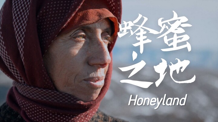 奥斯卡遗珠？只拿一半或许是对抗“卷”最好的答案！