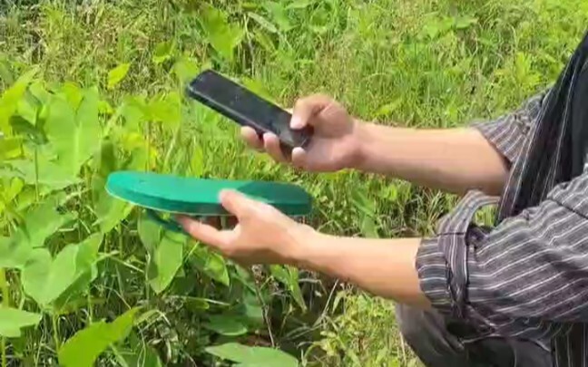 جربتها، ولم يتبق سوى النعال.