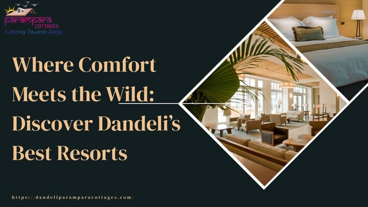 Where Comfort Meets the Wild Discover Dandeli’s Best Resorts