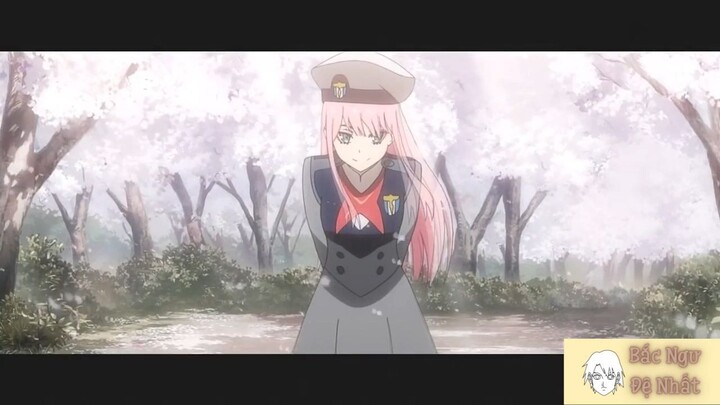 Darling in the FranXX 「AMV」 không biết xấu hổ #Anime