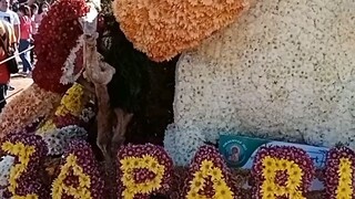 Bunny Out Of Flowers / flower festival / Baguio City