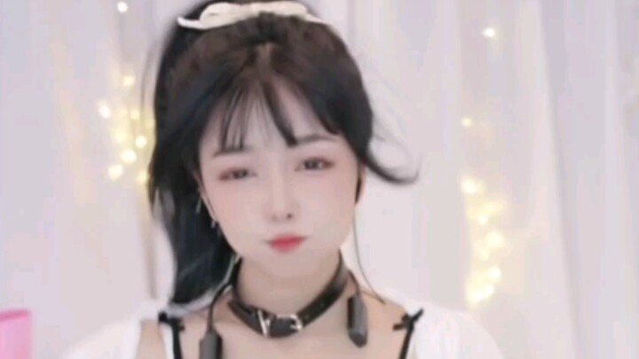 【连翘】Shake it