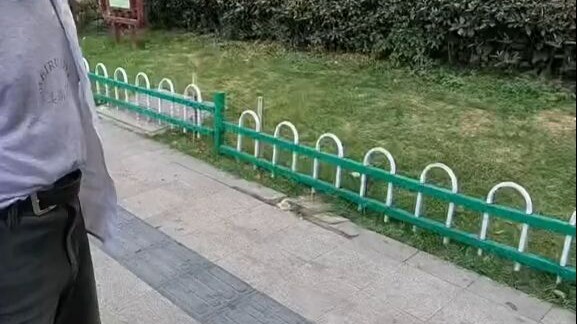 ตกปลาได้มาหลายตัว แต่ไม่มีใครรู้ว่าเป็นปลาอะไร ช่วยดูหน่อยได้ไหมว่าคือปลาอะไร