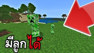 Creeper!! สามารถมีลูกได้ (สุดยอด มั้ง) | Minecraft PE