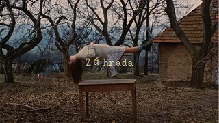 超现实美学—看懂导演的高级这部电影就会变得有趣—《花园》1995