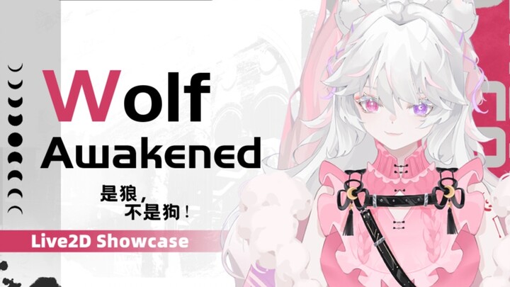 【Live2D Showcase】声音和性格大反差的白狼苏醒于虚拟世界【御犬えるん／御犬艾露恩】
