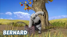 Bernard Bear || Taekwondo - Cartoon Children