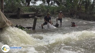 Trở Lại Sông Tiền - Gặp Phải Sự Cố "Ghe Hư Chết Máy Nước Vô Ào Ạt" | Hội Ngộ Miền Tây - Tập 533