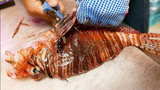 Món ăn đường phố Nhật Bản - Cá sư tử sashimi hải sản | Food Kingdom