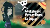 whitebeard pirates react to Luffy||end||gacha club||part 2||ACE-FNX