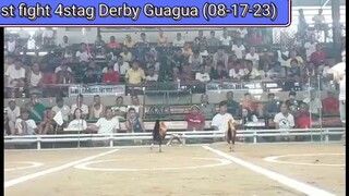 4 Stag Derby @ Guagua Cockpit Arena (8-17-23)