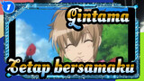 Gintama| Mitsuba:Tetap bersamaku_1