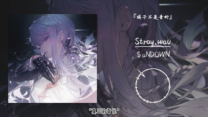 “True Music” || “Stray.wav”