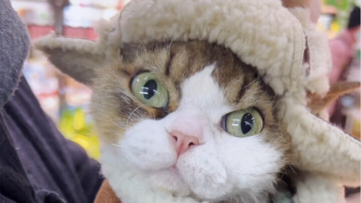 ปีนี้เธอโกรธแล้ว! เพราะฉันไม่ได้พาเธอไปเลือกของขวัญปีใหม่! 5555