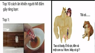 Meme Dạo#29| Giúp Cheems Chiến Thắng Trận Này Ở cmt| NKL Official