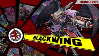 Yu-Gi-Oh! BLACKWING | Deck Profile 2022 | Por fin podemos jugar el monstruo de CROW