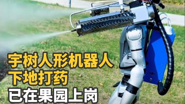 หุ่นยนต์ฮิวแมนนอยด์ของอวี่ซู่ ลงพื้นที่ฉีดพ่นสารกำจัดศัตรูพืช ประจำการในสวนผลไม้แล้ว