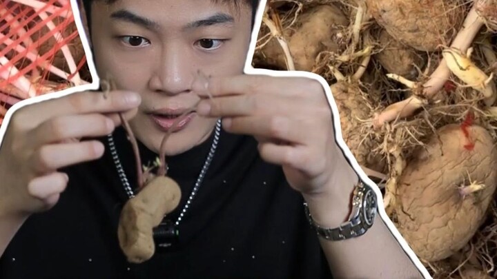 Kentang yang berkecambah ternyata jadi hidangan lezat di selatan? Saya akui, kali ini saya takut!