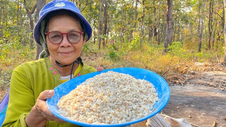 สะออนไข่มดแดง,เก็บผักติ้ว,ผักหวาน หาม่วนๆของกินธรรมชาติ