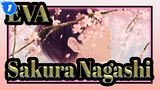 EVA|[Sakura Nagashi]Menantikan bunga sakura di musim dingin(Kaworu x Shinji)_1