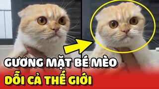 Đau đầu với Hoàng Thượng có gương mặt DỖI CẢ THẾ GIỚI 😂 | Yêu Lu