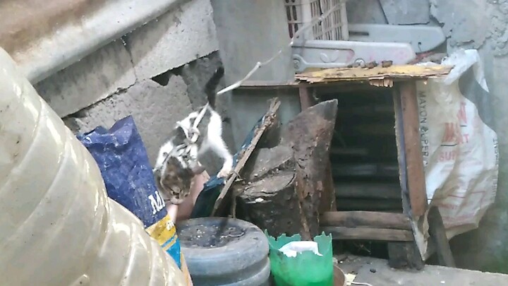 Couture and your friends are the only one 1⃣ in this