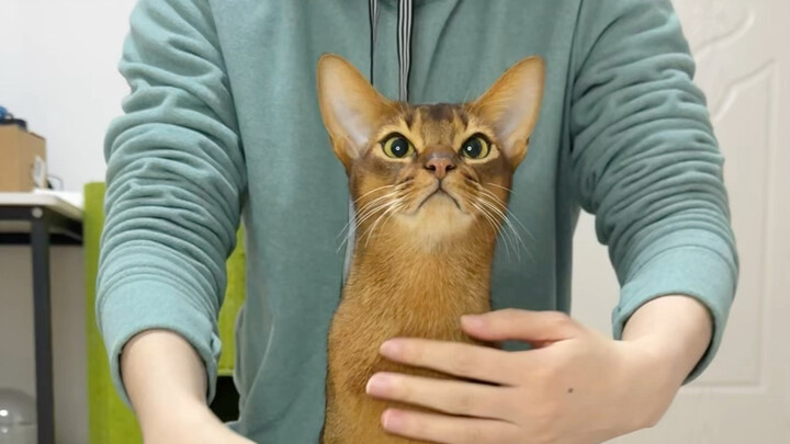 Do you guys love this forest-style outfit?