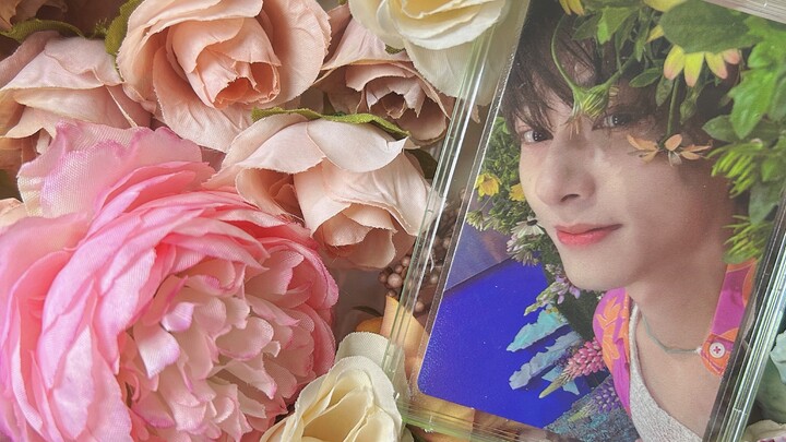 Over 700 Jun Cards Packed | SEVENTEEN’s Wen Junhui Mini Cards Bundle | Immersive Experience | Music 