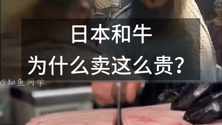 ทำไมเนื้อวัวญี่ปุ่นถึงมีราคาสูงมาก?