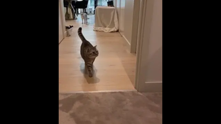 เจ็บปวดแค่ชั่วคราว แต่เสียเธอตลอดไป