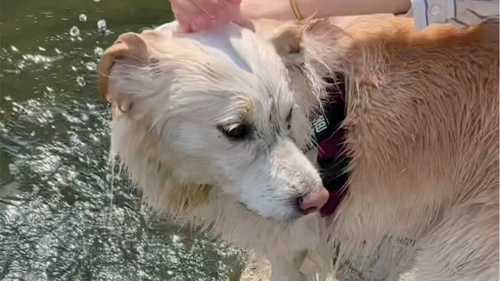 Well, that's great—our nice spring outing lasted only a minute, and now we've given our sister the u