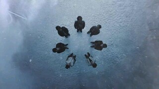 GOT 7