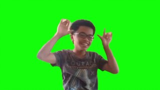niko niko ni green screen