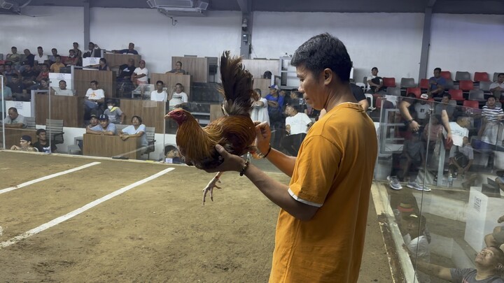 HACKFIGHT FASTEST KILL ULIT😇🙏🐓