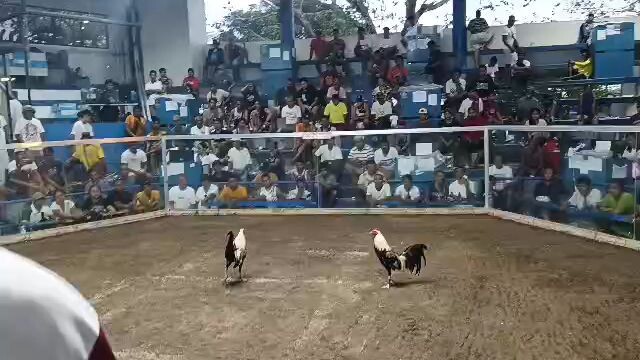 1st Fight