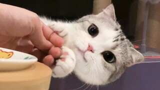 I don't want to be trolled, but she's just too cute!