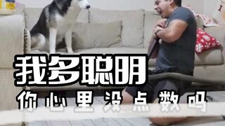 Nhóc lười: Ồ! Tôi hiểu rồi!