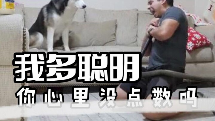 إير ها: أوه! فهمت الآن!