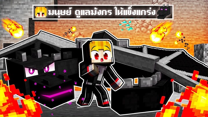 จะเกิดอะไรขึ้น!! ผมดูแล.. ลูกมังกร แข็งแกร่ง ใน Minecraft!