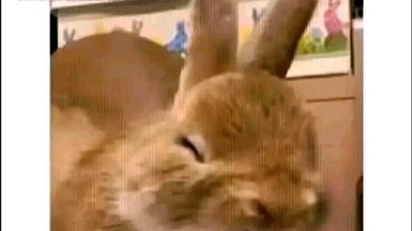 Sáng tạo thứ hai của Shengcao ở ba Tieba (6)